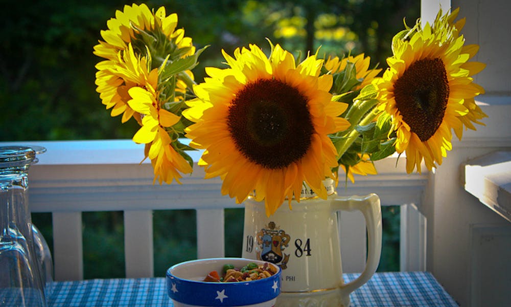 Summer is coming… Brighten it up with colourful flowers! Banner