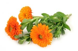 Flores de Aniversário
