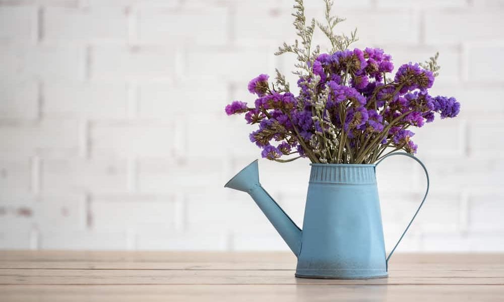 Come scegliere le piante e i fiori migliori per decorare la tua casa
