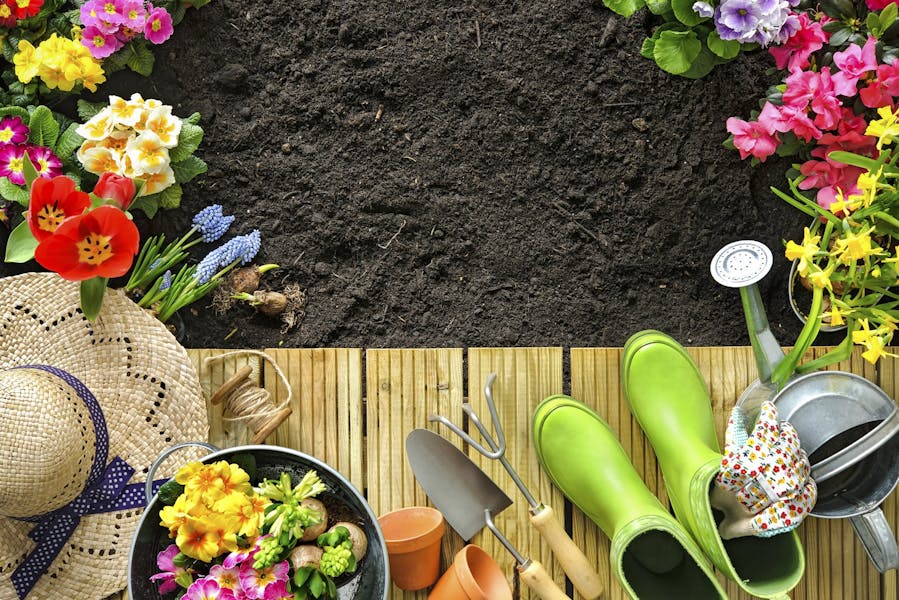 4 modi per curare il tuo giardino fai da te