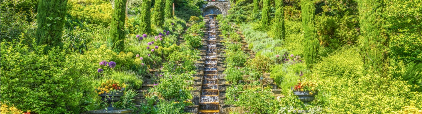 fiori della germania isola Mainau