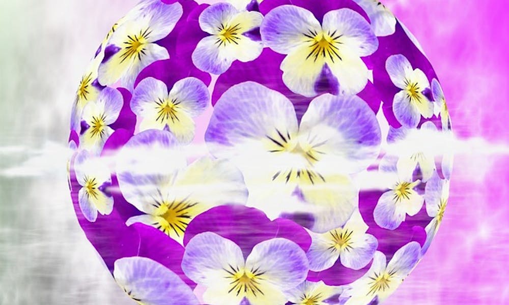 Invio internazionale di fiori: dati curiosi