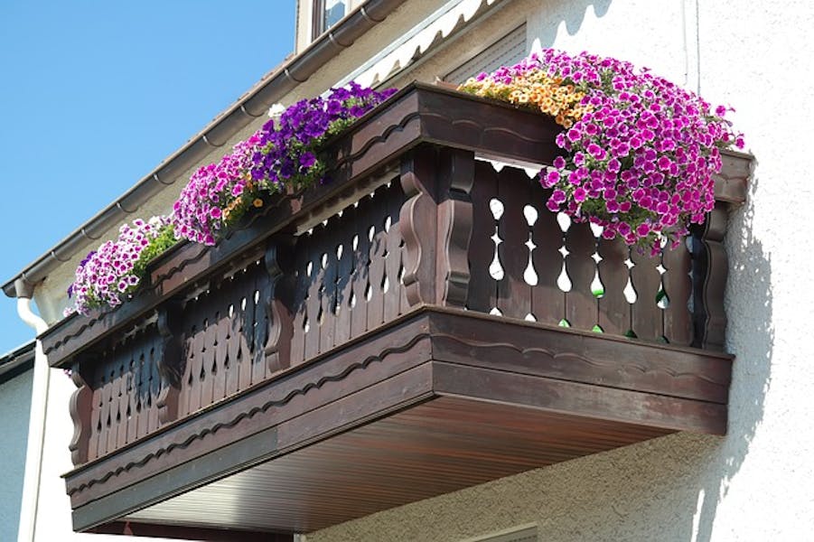 In autunno, decora il tuo balcone con i fiori