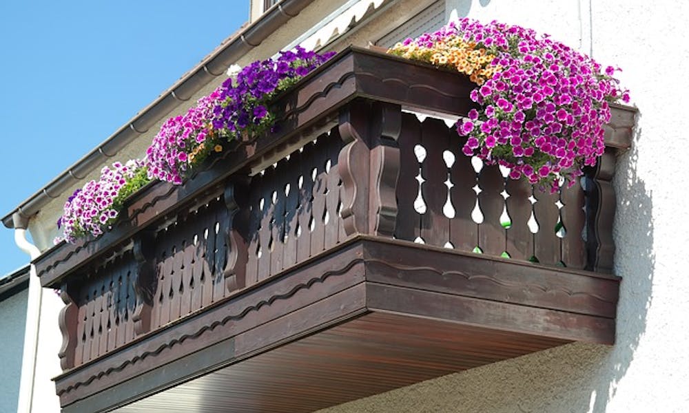 In autunno, decora il tuo balcone con i fiori