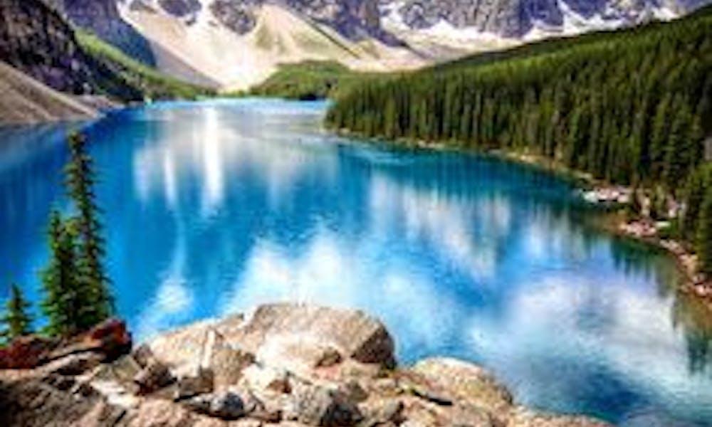Le bellezze floreali del Canada