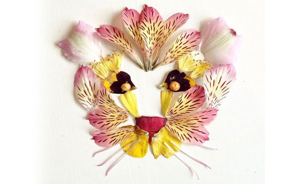 Quando la creatività e i fiori si uniscono