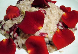 risotto-alle-rose