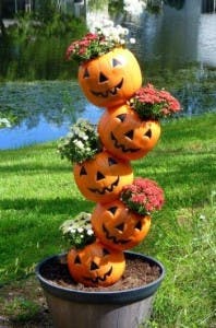 Anche i mostri di Halloween amano i fiori