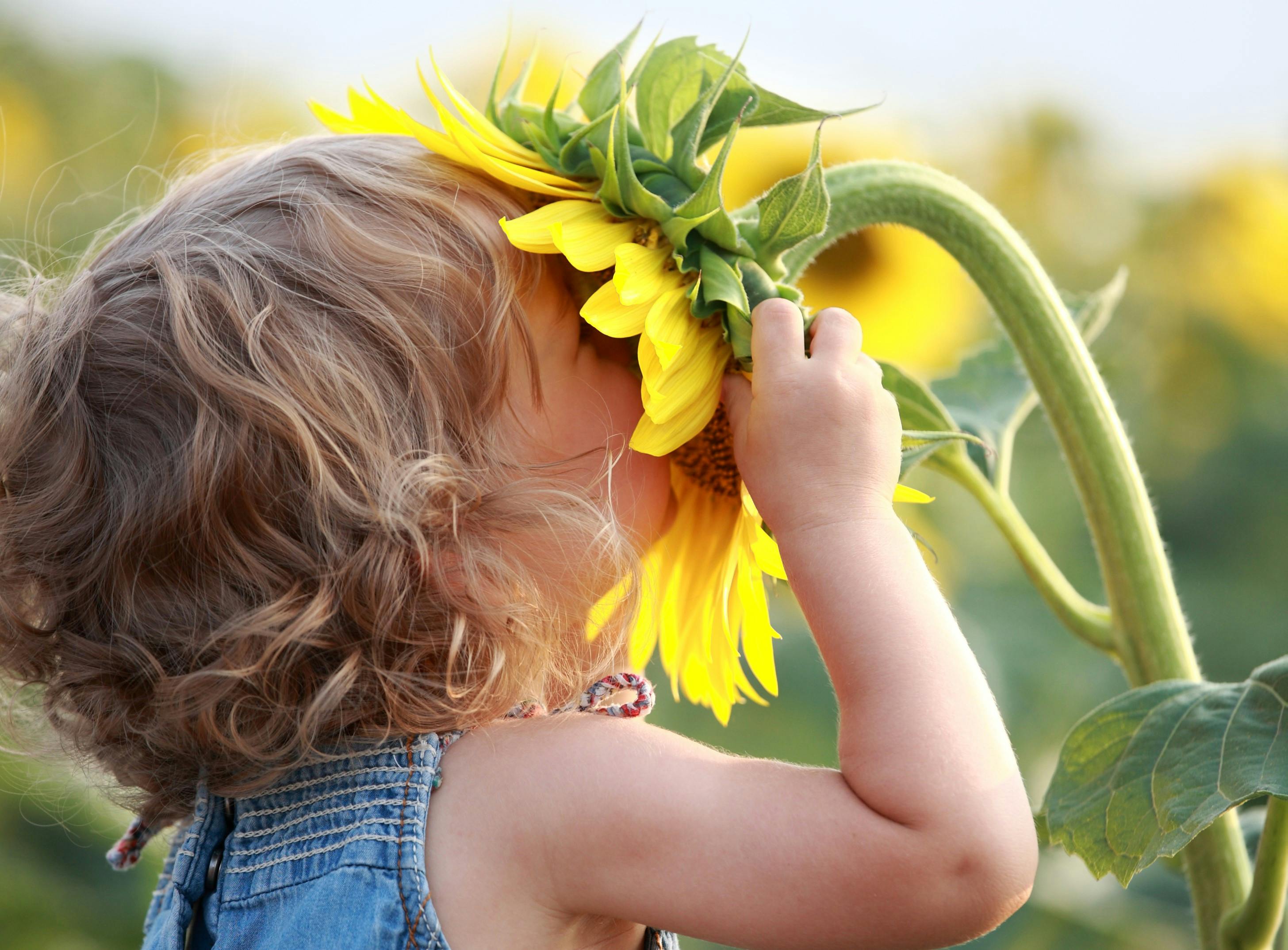 Bambini e Fiori - bimbo girasole