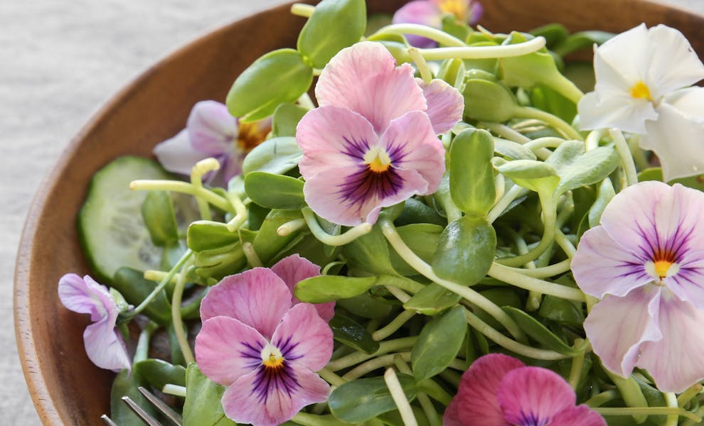 Stuzzica le papille gustative e abbellisci i tuoi piatti con fiori commestibili