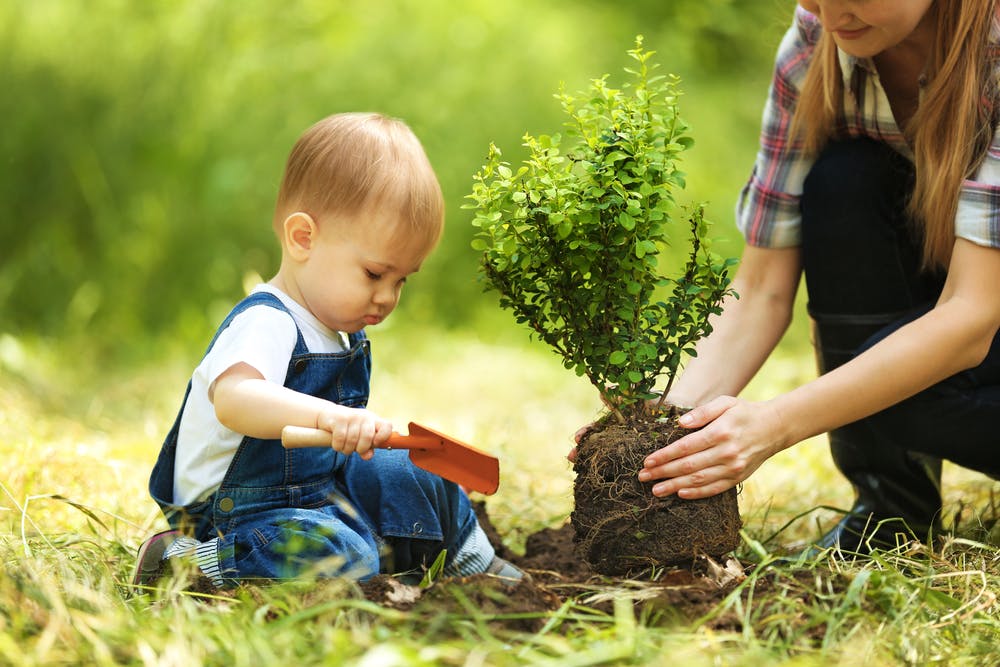 Bambini e Fiori - bimbo albero - bimbo albero mamma