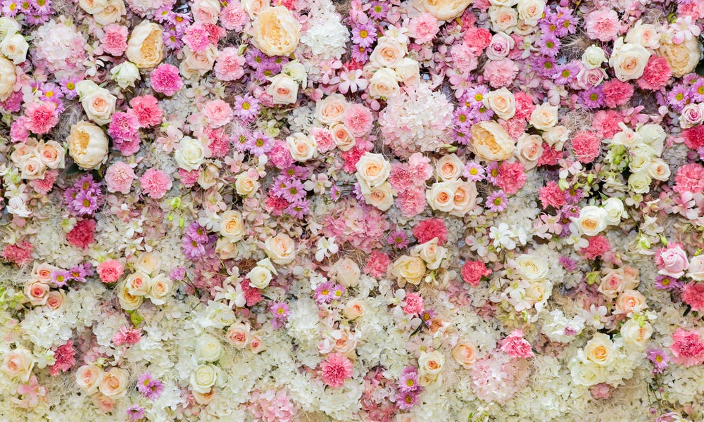 Fiori per combattere il grigiore dell’inverno – Come portare un po’ di colore in casa