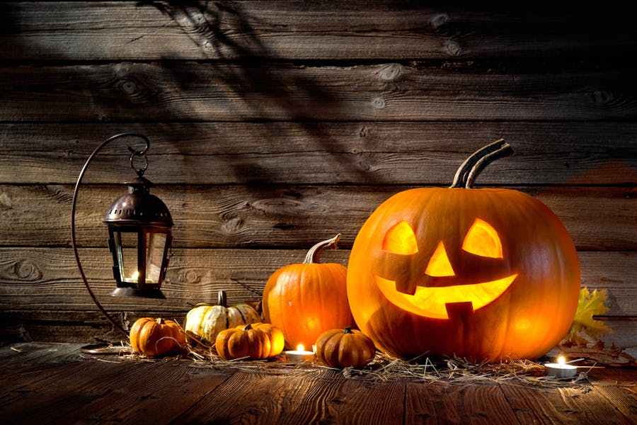 Mazzo o scherzetto? Regala dei fiori a Halloween