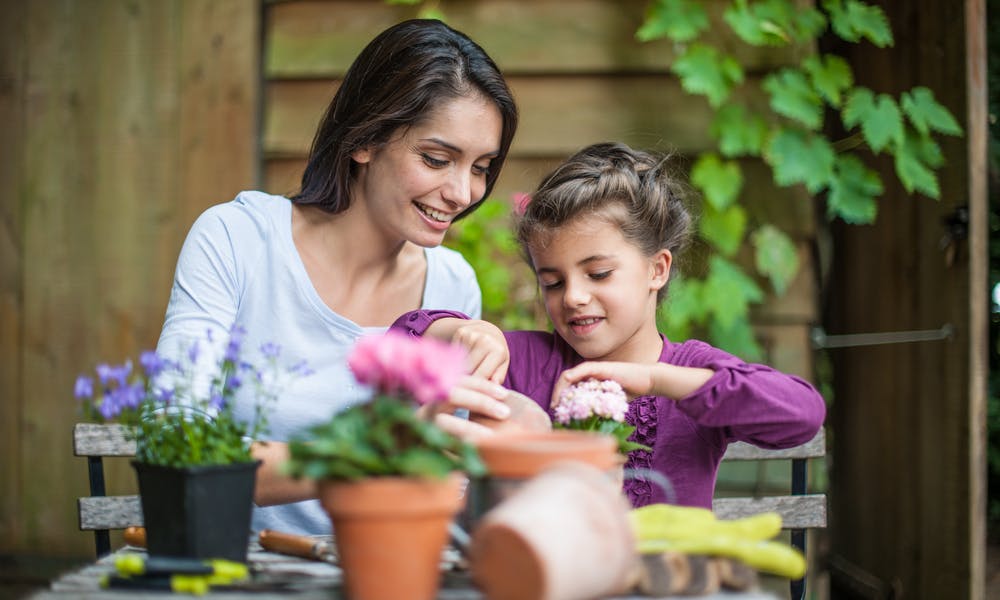Prendite cura dei tuoi fiori quest’ estate – Con un pizzico di sapere ed una spolverata di amore!