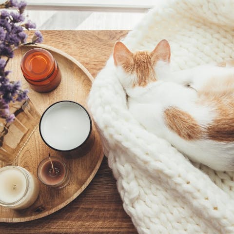 Consigli per godersi il tempo a casa: cosa fare per non annoiarsi?