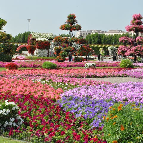 Il linguaggio dei fiori