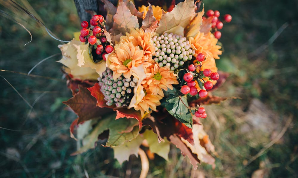 Fiori d’Autunno: Idee perfette per sorprendere con un regalo