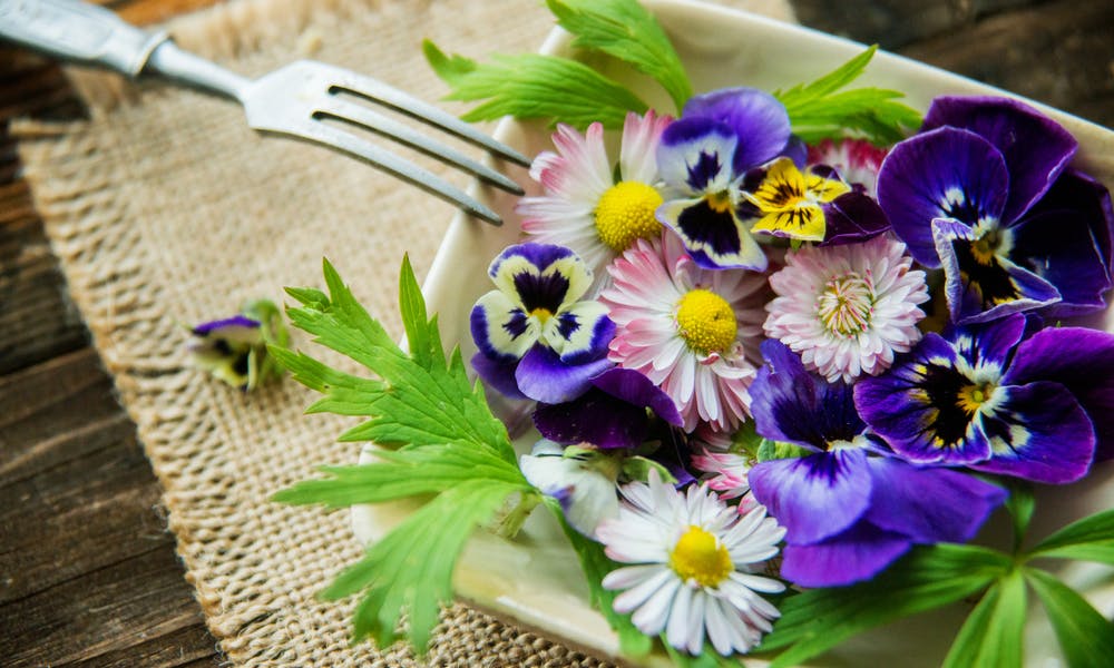 Alcuni esempi di fiori commestibili