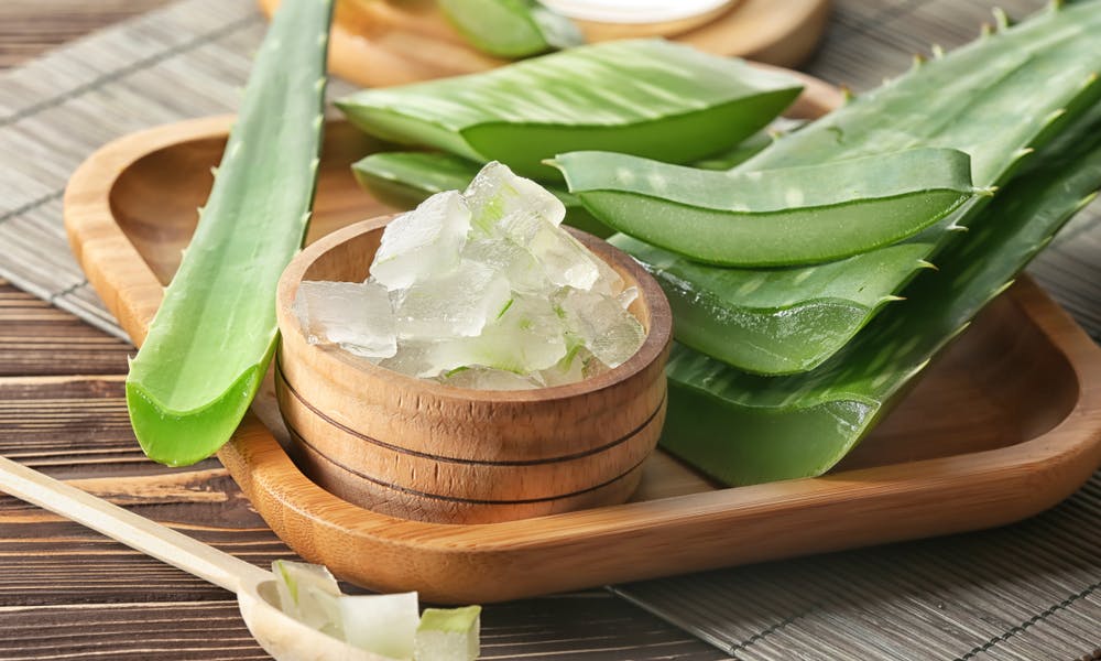 L’aloe vera: tantissimi benefici e pochissimi effetti collaterali