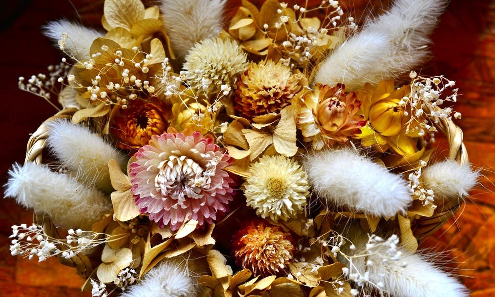 COME SECCARE I FIORI?
