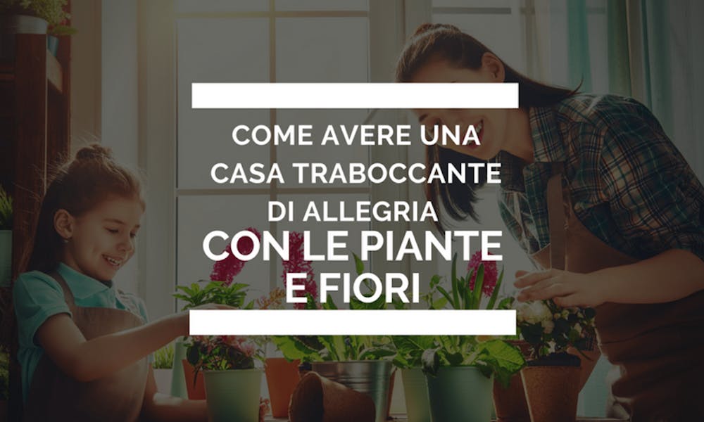 Come avere una casa traboccante di allegria con le piante e i fiori