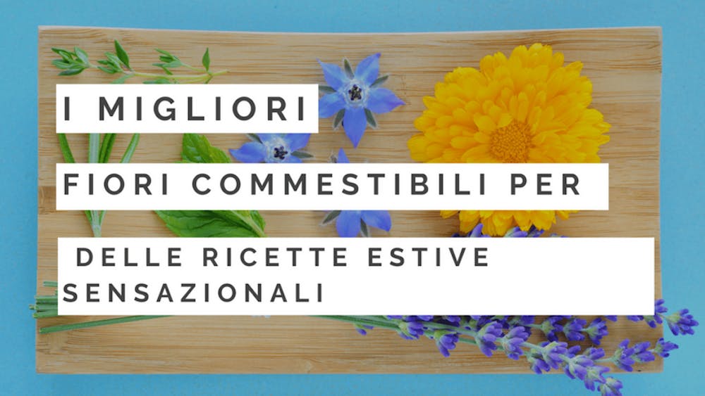 I migliori fiori commestibili per delle ricette estive sensazionali