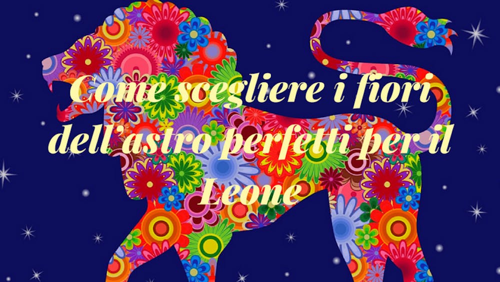 Come scegliere i fiori dell’astro perfetti per il Leone