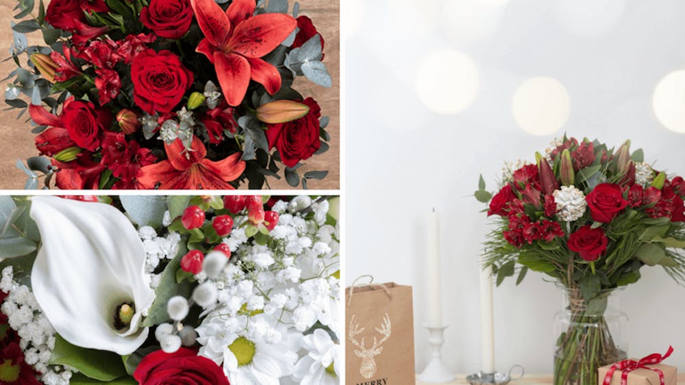 Festeggia il dicembre con la collezione natalizia di FloraQueen