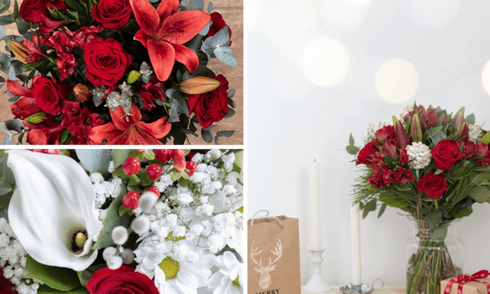 Festeggia il dicembre con la collezione natalizia di FloraQueen