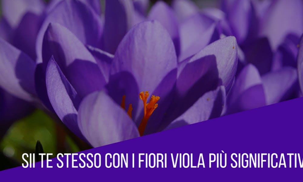 Sii te stesso con i fiori viola più significativi