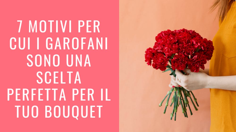 7 Motivi per cui i garofani sono una scelta perfetta per il tuo bouquet