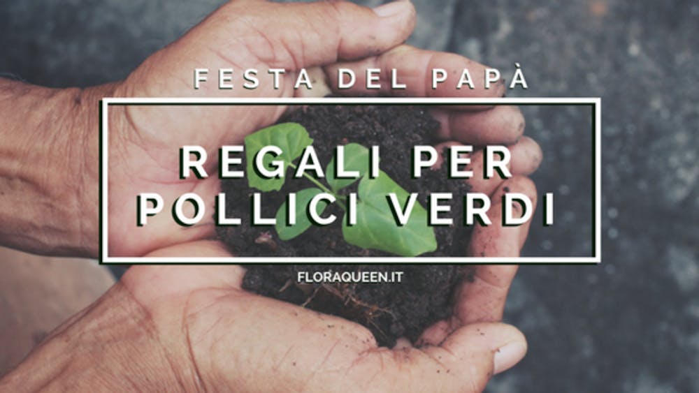 Festa del Papà: Regali per Pollici Verdi