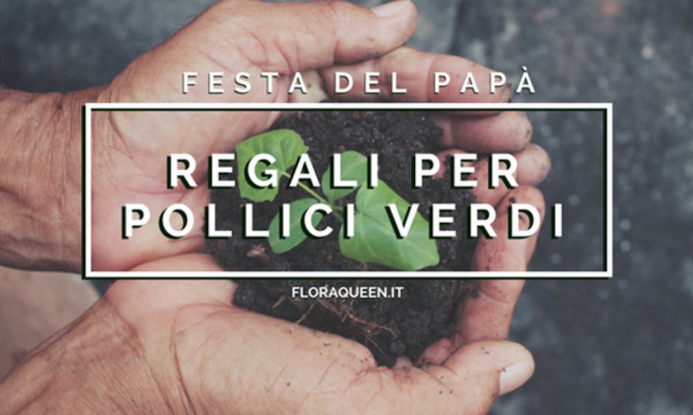 Festa del Papà: Regali per Pollici Verdi