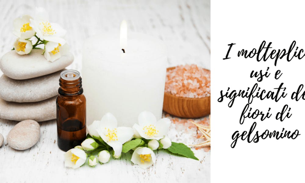 I molteplici usi e significati dei fiori di gelsomino
