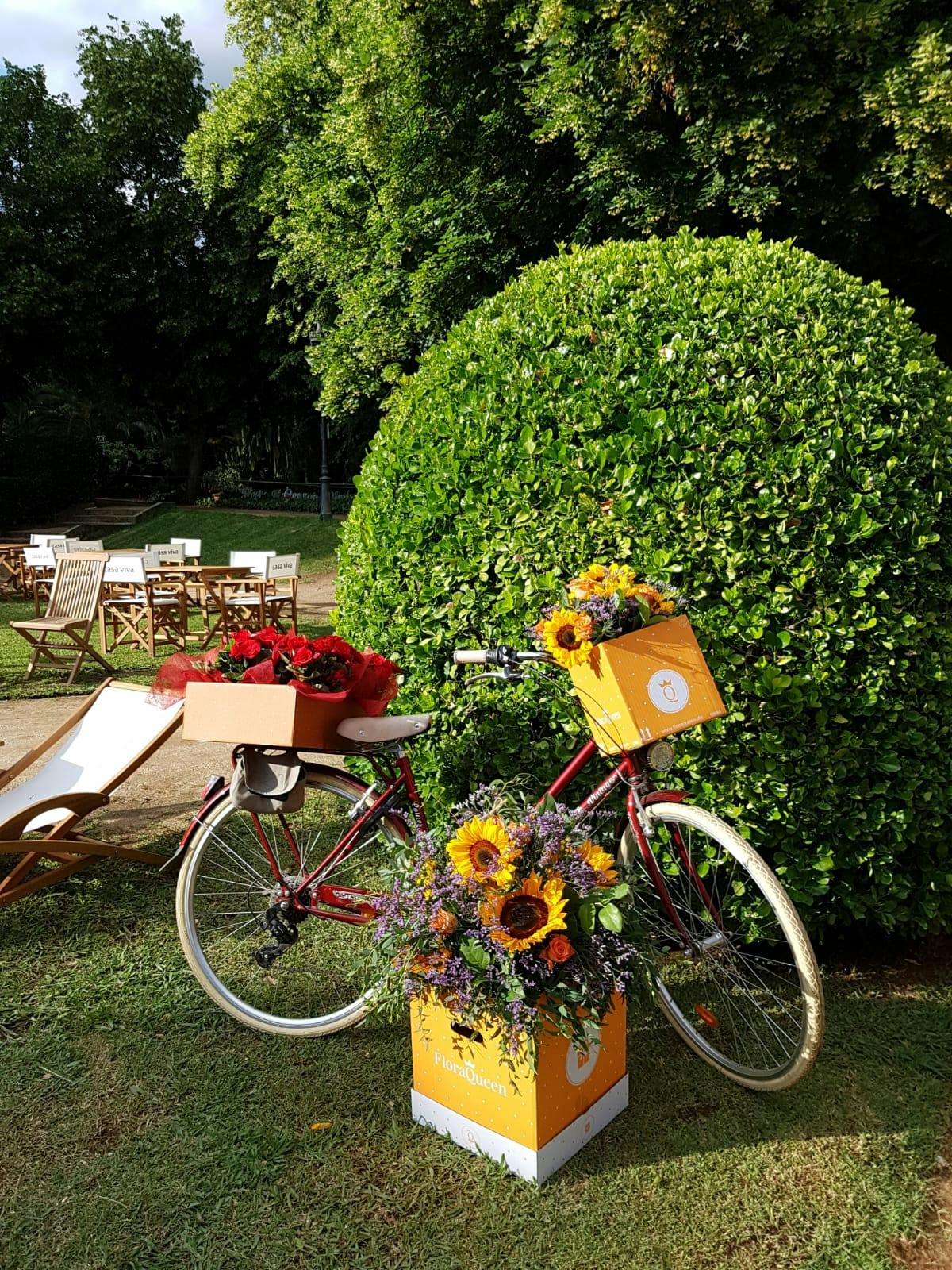 zona della bicicletta floraqueen a pedralbes