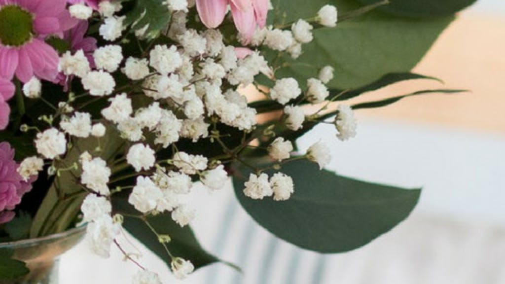 Gypsophila paniculata, - Fiori per un'amica - fiori da regalare - fiori rosa - bouquet rosa -