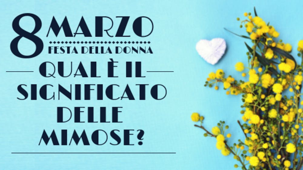 Qual è il significato delle Mimose?