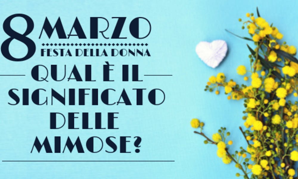 Qual è il significato delle Mimose?