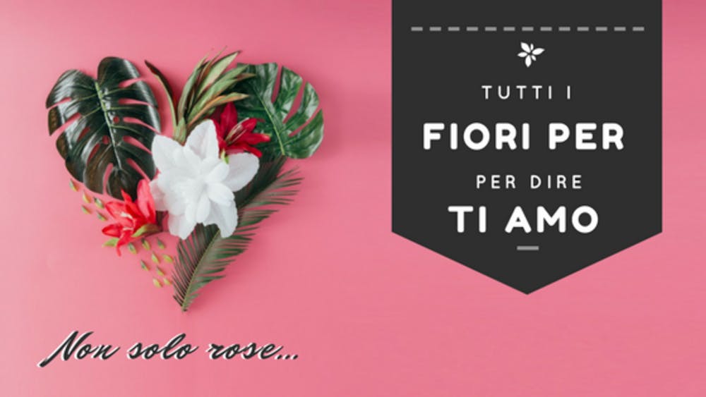 Tutti i Fiori per dire Ti amo