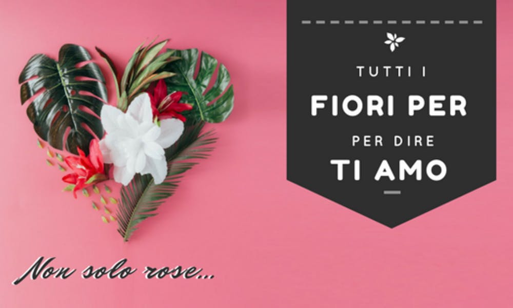 Tutti i Fiori per dire Ti amo