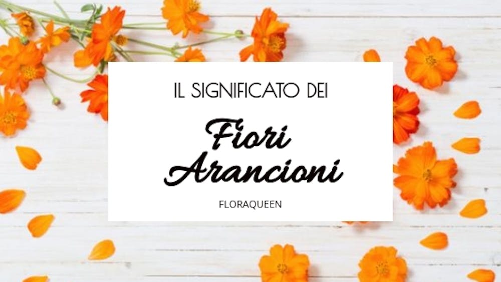 Qual è il significato dei Fiori Arancioni?