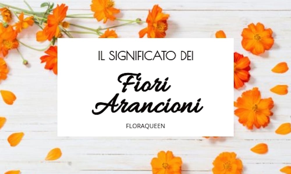 Qual è il significato dei Fiori Arancioni?