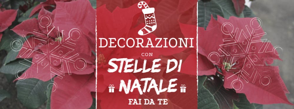 Come realizzare decorazioni con Stelle di Natale