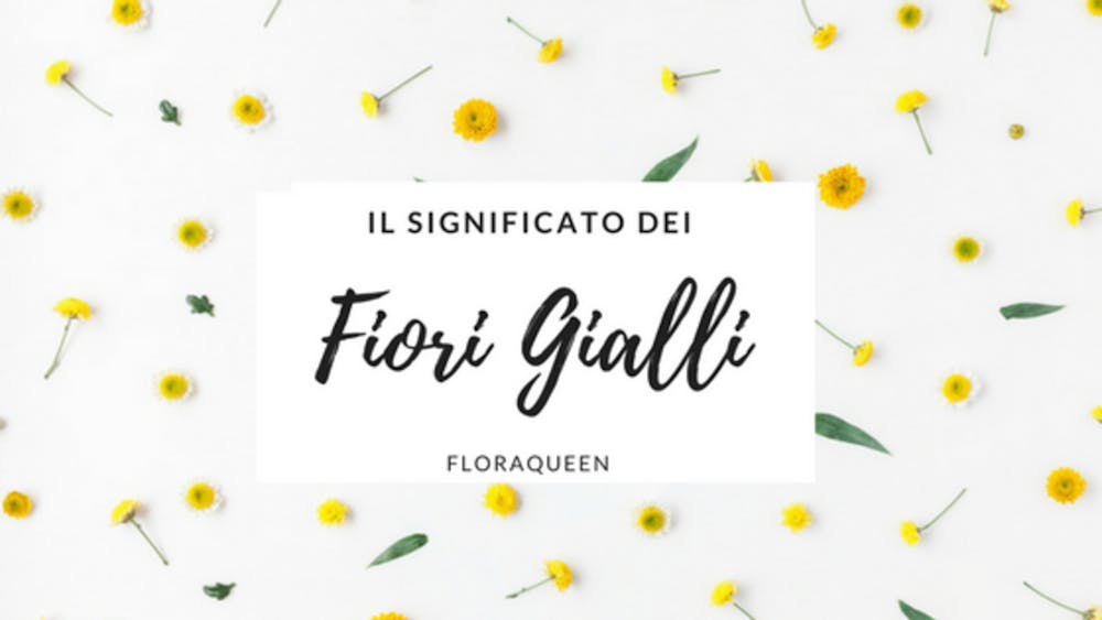 Qual è il significato dei fiori gialli?