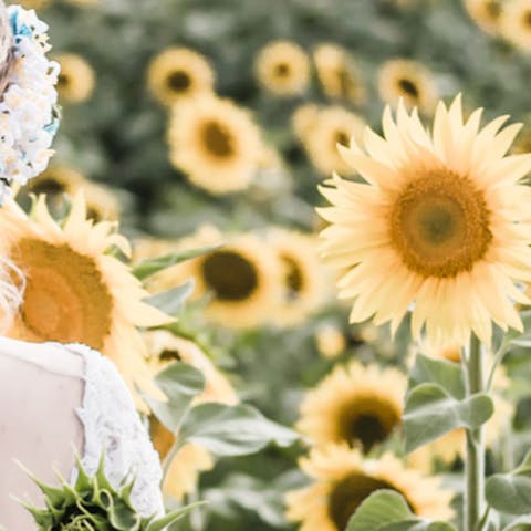 Bouquet di fiori: girasoli da “Sì”