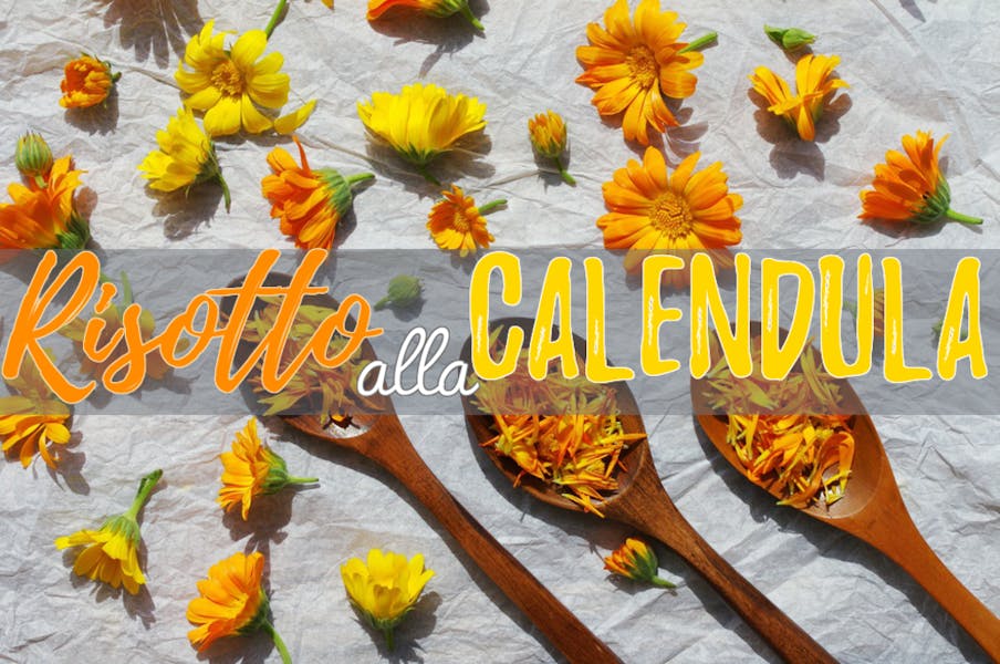 Calendula: Prepara un Risotto Natural Chic!