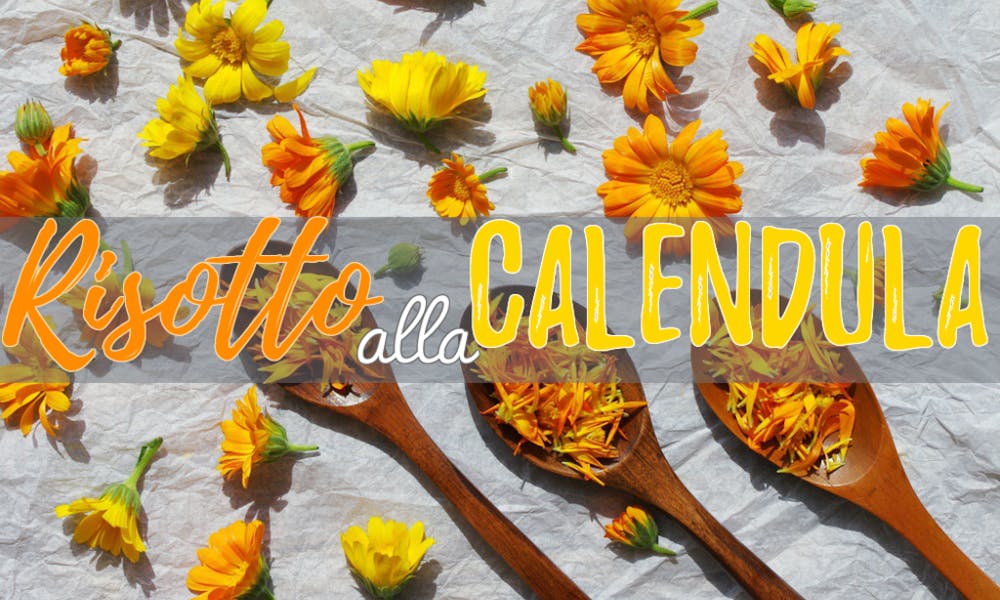 Calendula: Prepara un Risotto Natural Chic!