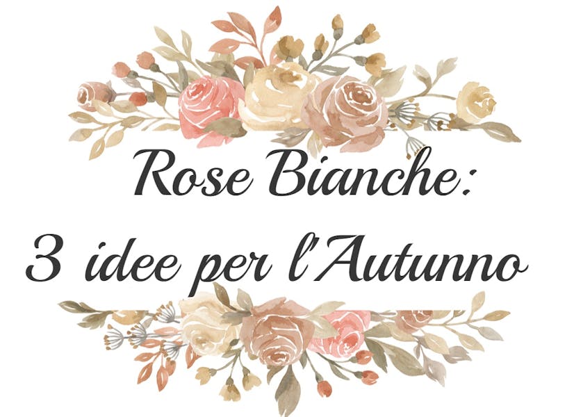 Rose Bianche: 3 idee per l’Autunno