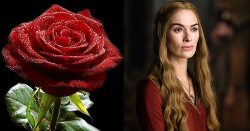 Game Of Thrones: un fiore per ogni personaggio