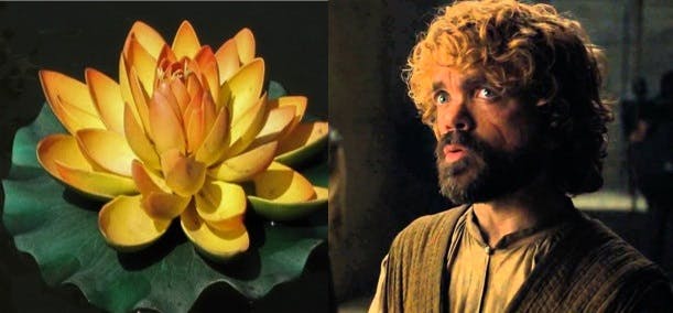 Game Of Thrones: un fiore per ogni personaggio